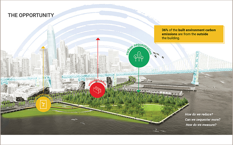 Climate Positive Design